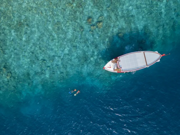 Snorkelling at Centara Grand Island Resort & Spa Maldives (CIRM) Snorkelling at Centara Grand Island Resort & Spa Maldives (CIRM)